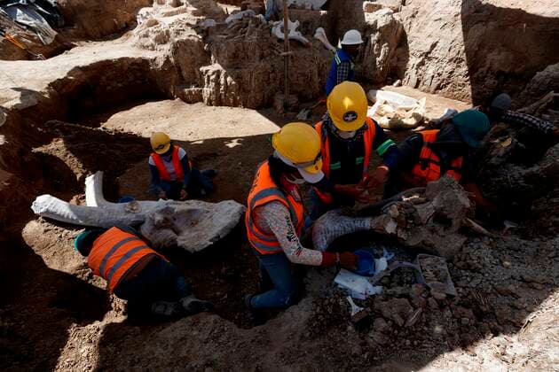 The remains of a mammoth are extracted by specialists from the National Institute of Anthropology and History (INAH), on 15 October 2021, in the area where the Felipe Angeles International Airport is being built in the municipality of Zumpango, Mexico (issued 21 October 2021). A replica of a mammoth of enormous dimensions and amazing verisimilitude will welcome the Paleontological Museum of Santa Lucia Quinametzin, better known as the Mammoth Museum, a jewel within the new Mexico City airport. Quinametzin is a word that was found in the Florentine Codex, or General History of the Things of New Spain, written between 1575 and 1577 by Fray Bernardino de Sahagun. It means giant, that is why at the entrance of the museum the legend Land of Gia  Copyright: xJosexMendezx MEX4210 20211021-090b7e549fe983a413b48571ff884936ca82d8b3
