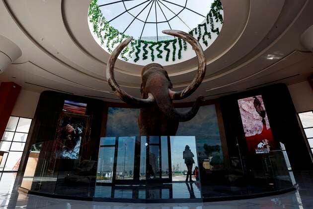 Photograph of a paleontological sculpture of a mammoth, on 15 October 2021, in the Museum of Santa Lucia Quinametzin, in the municipality of Zumpango, Mexico (issued 21 October 2021). A replica of a mammoth of enormous dimensions and amazing verisimilitude will welcome the Paleontological Museum of Santa Lucia Quinametzin, better known as the Mammoth Museum, a jewel within the new Mexico City airport. Quinametzin is a word that was found in the Florentine Codex, or General History of the Things of New Spain, written between 1575 and 1577 by Fray Bernardino de Sahagun. It means giant, that is why at the entrance of the museum the legend Land of Giants is read in a kind of frame. Mammoth Museum, paleontological jewel inside the new Mexico Copyright: xJosexMendezx MEX4207 20211021-6b5fbf012052fc57bf1a9c119633bd601a9bd1c6