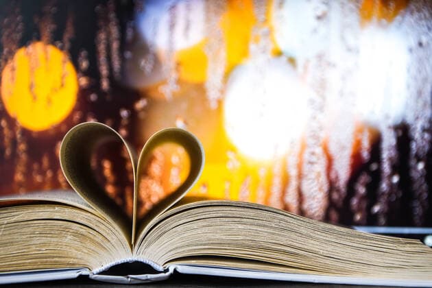 Book with love symbol isolated on window background, Close-up Of Heart Shape Book , Book with love symbol isolated on window background, Love books, love to read, love stories, heart shape from paper book, Romantic background with the book Copyright: xx 38564292