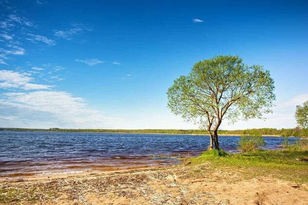  Lone tree on lakeside. Sunny daylight rural scene. Place for relax on vacation., 14.10.2020, Copyright: xweisex Panthermedia28465699
