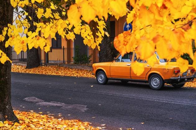 Autumn In Rieti, Italy Autumn colors the avenues of the city of Rieti and the surrounding mountains with falling leaves, in Rieti, Italy, on October 26, 2021. Rieti Rieti Italy  Copyright: xRiccardoxFabix fabi-notitle211026_npqGe