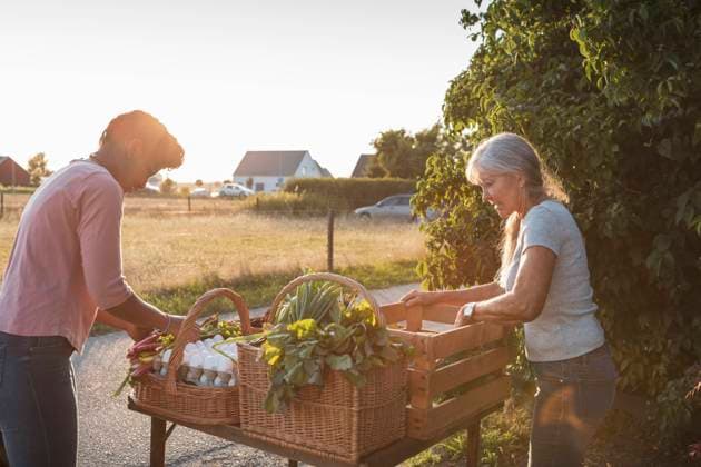 IMAGO Creative: Landleben - Essen IMAGO Creative: Landleben - Alfresco, Draußen Female farm workers arranging vegetable on market stall at roadside Sweden, Skane, model released, property released Copyright: xMaskotx , MA89259
