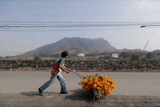 Sale Of Flor De Cempasuchil Begins In Tlahuac, Mexico City A buyer of marigold flowers on the Las Calabacitas estate, located in Zapotitla, Mexico City, during the COVID-19 health emergency and the green epidemiological traffic light in the capital. Mexico City Mexico  Copyright: xGerardoxVieyrax vieyra-notitle211029_npT8u