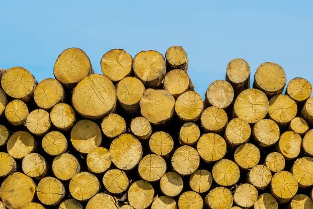 IMAGO Nature: Unsere Erde, Energiequellen, Biomasse Aus einem Wald frisch geschnittener Holzstapel McPWOD *** Pile of wood freshly cut from a forest McPWOD McPWOD