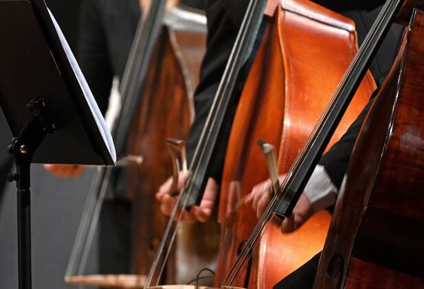 Concert of the orchestra of the Gesellschaft der Musikfreunde Gmunden, in the Toskana Kongress, in the context of the Salzkammergut Festwochen in Gmunden, on 30 10 21 The picture shows the playing hands of bass violinists 2021 Concert of the orchestra of the Gesellschaft der Musikfreunde Gmunden, in the Toskana Kongress, in the context of the Salzkammergut Festwochen in Gmunde