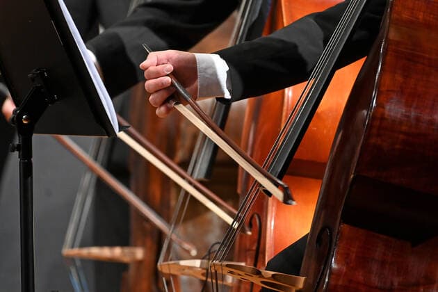 Concert of the orchestra of the Gesellschaft der Musikfreunde Gmunden, in the Toskana Kongress, in the context of the Salzkammergut Festwochen in Gmunden, on 30 10 21 The picture shows the playing hands of bass violinists 2021 Concert of the orchestra of the Gesellschaft der Musikfreunde Gmunden, in the Toskana Kongress, in the context of the Salzkammergut Festwochen in Gmunde