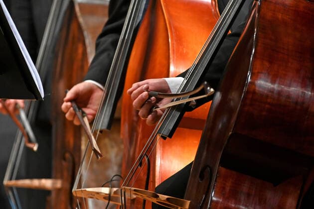 Concert of the orchestra of the Gesellschaft der Musikfreunde Gmunden, in the Toskana Kongress, in the context of the Salzkammergut Festwochen in Gmunden, on 30 10 21 The picture shows the playing hands of bass violinists 2021 Concert of the orchestra of the Gesellschaft der Musikfreunde Gmunden, in the Toskana Kongress, in the context of the Salzkammergut Festwochen in Gmunde