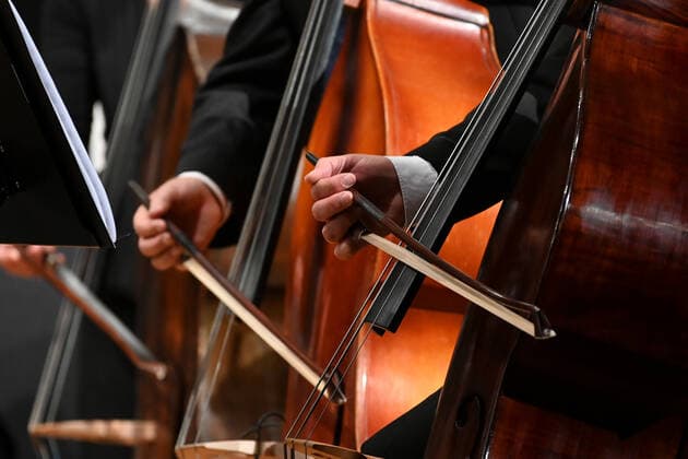 Concert of the orchestra of the Gesellschaft der Musikfreunde Gmunden, in the Toskana Kongress, in the context of the Salzkammergut Festwochen in Gmunden, on 30 10 21 The picture shows the playing hands of bass violinists 2021 Concert of the orchestra of the Gesellschaft der Musikfreunde Gmunden, in the Toskana Kongress, in the context of the Salzkammergut Festwochen in Gmunde