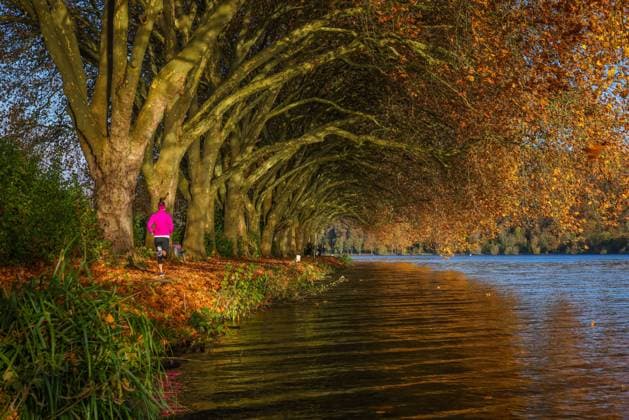 Essen, Nordrhein-Westfalen, Deutschland - Junge Frau joggt am Seeufer unter Baeumen mit Herbstlaub. Goldener Herbst am Baldeneysee. Essen Nordrhein-Westfalen Deutschland *** Essen, North Rhine Westphalia, Germany Young woman jogging at the lakeside under trees with autumn leaves Golden autumn at Baldeneysee Essen North Rhine Westphalia Germany