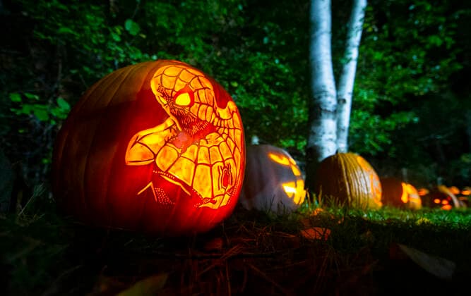 (211102) -- MISSISSAUGA, Nov. 2, 2021 -- Jack-O-Lanterns are seen during a pumpkin parade event in Whiteoaks Park in Mississauga, Ontario, Canada, on Nov. 1, 2021. As an annual post-Halloween tradition, pumpkin parades returned to Ontario on Monday this year. (Photo by Xinhua) CANADA-MISSISSAUGA-PUMPKIN PARADE ZouxZheng 