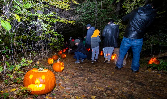 (211102) -- MISSISSAUGA, Nov. 2, 2021 -- People look at Jack-O-Lanterns during a pumpkin parade event in Whiteoaks Park in Mississauga, Ontario, Canada, on Nov. 1, 2021. As an annual post-Halloween tradition, pumpkin parades returned to Ontario on Monday this year. (Photo by Xinhua) CANADA-MISSISSAUGA-PUMPKIN PARADE ZouxZheng 