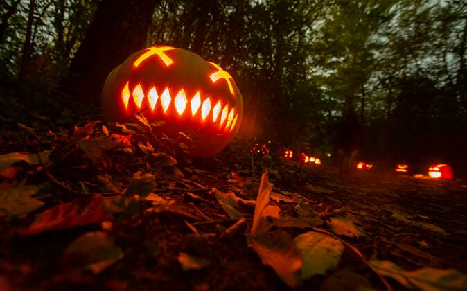 (211102) -- MISSISSAUGA, Nov. 2, 2021 -- Jack-O-Lanterns are seen during a pumpkin parade event in Whiteoaks Park in Mississauga, Ontario, Canada, on Nov. 1, 2021. As an annual post-Halloween tradition, pumpkin parades returned to Ontario on Monday this year. (Photo by Xinhua) CANADA-MISSISSAUGA-PUMPKIN PARADE ZouxZheng 