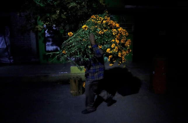 Day Of The Dead In Mexico A man carries cempasuchil flowers near the San Pedro Cemetery, Tlahuac, on the occasion of the Day of the Dead in Mexico during the COVID-19 health emergency and the green epidemiological traffic light in the capital. Mexico City Mexico  Copyright: xGerardoxVieyrax vieyra-notitle211101_npRC1
