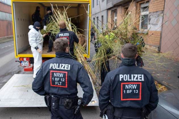 20.10.2021 , DU Duisburg , Drogenrazzia der Polizei in Duisburg am frühen Morgen. Polizeibeamte ernten tausende Cannabis - Pflanzen in Duisburg , Blätter und Blüten werden von den Zweigen entfernt , verpackt und gesichert. Polizei trägt hunderte Säcke mit Pflanzen und Pflanzenmüll aus dem Haus. *** 20 10 2021 , DU Duisburg , Police drug raid in Duisburg early morning Police officers harvest thousands of cannabis plants in Duisburg , leaves and flowers are removed from branches , packed and secured Police carry hundreds of bags of plants and plant waste from the house