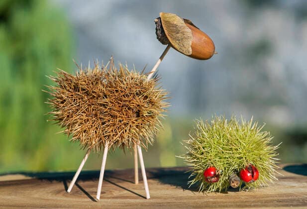 Schaf und Igel, lustigeTierfiguren aus Esskastanien-Schalen und Eicheln, Basteln mit Naturmaterialien im Herbst, Schweiz *** Sheep and hedgehook, funny animal figures made from chestnut shells and oak acorns in autumn time, Switzerland