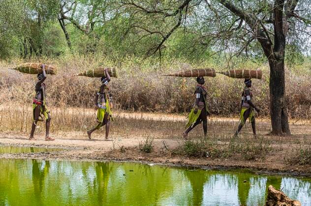 IMAGO Nature: Unsere Erde, Naturschutz, Indigene Völker Mädchen mit gesammeltem Schilf auf dem Kopf auf dem Heimweg, Toposa-Stamm, Ost-Äquatoria, Südsudan, Afrika *** Girl with collected reeds on her head on her way home, Toposa tribe, Eastern Equatoria, South Sudan, Africa. Copyright: imageBROKER/MichaelxRunkel iblrun07152558.jpg