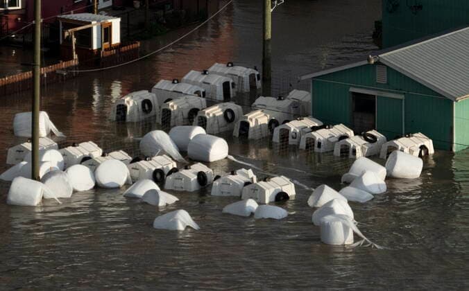 November 16, 2021, ABBOTSFORD, BC, Canada: Calf houses float in the flood waters in Abbotsford, B.C., Tuesday, Nov. 16, 2021. ABBOTSFORD Canada  - ZUMAc35_ 20211116_zaf_c35_083 Copyright: xJonathanxHaywardx