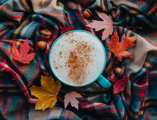 Overhead of pumpkin spice latte on plaid fall scarf with leaves. Kingston, Ontario, Canada CR_DOHO211117H-859937-01