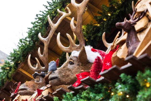 Singing deer entertain visitors from the roof of a mulled wine stall The Bonn Christmas market in the shadow of the Corona pandemic The 2G rule vaccinated or recovered also applies in the inner city area mandatory masks 19 11 2021 Bonn city centre NRW Germany