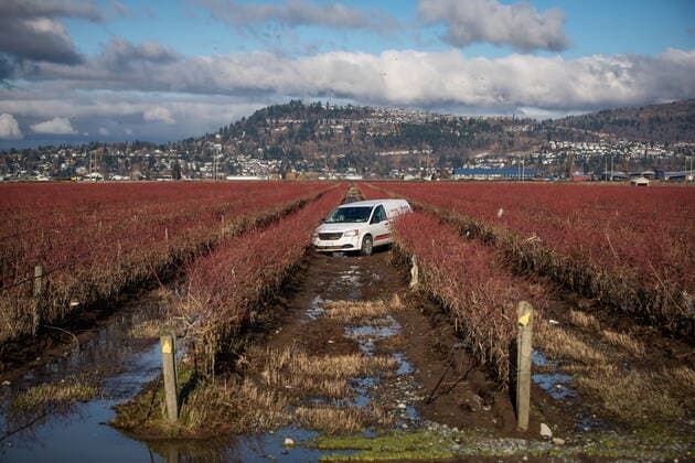 November 19, 2021, ABBOTSFORD, BC, Canada: A restoration company vehicle that was washed away by floodwaters rests in a farmer s field after floodwaters receded in Abbotsford, B.C., Friday, Nov. 19, 2021. ABBOTSFORD Canada  - ZUMAc35_ 20211119_zaf_c35_082 Copyright: xDarrylxDyckx