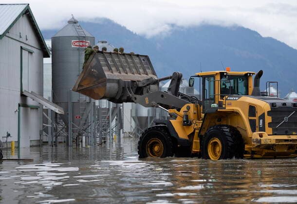 November 20, 2021, ABBOTSFORD, BC, CANADA: Members of the Canadian Forces arrive by front end loader to help move some 30,000 chickens at a chicken farm in Abbotsford, B.C., Saturday, November 20, 2021. ABBOTSFORD CANADA  - ZUMAc35_ 20211120_zaf_c35_129 Copyright: xJonathanxHaywardx