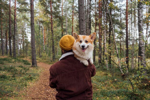Man carrying dog on footpath in forest model released property released, VPIF05138