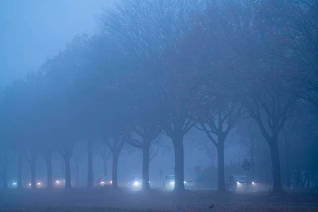 Landstrasse B 57 bei Erkelenz, Herbst, Nebel, Regenwetter, Baumallee, nasse Fahrbahn, NRW, Deutschland, Nebel Landstrasse *** Country road B 57 near Erkelenz, autumn, fog, rainy weather, avenue of trees, wet road, NRW, Germany, fog country road
