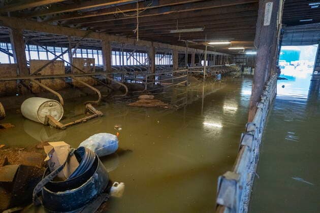 November 25, 2021, ABBOTSFORD, BC, CANADA: A flooded dairy farm is pictured in Abbotsford, B.C., Thursday, November 25, 2021. ABBOTSFORD CANADA  - ZUMAc35_ 20211125_zaf_c35_115 Copyright: xJonathanxHaywardx