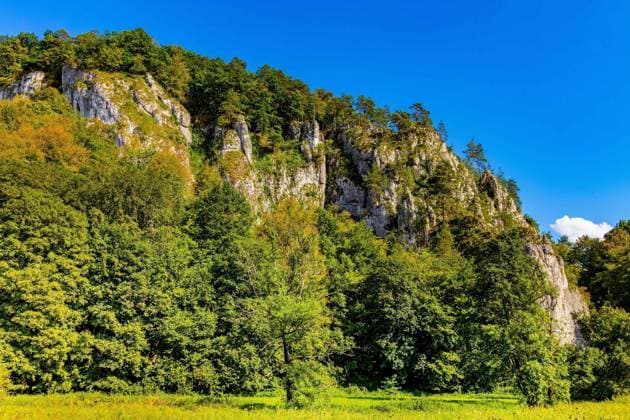Trench Rock Stronghold - Grodzisko Gora Okopy - Jurassic limestone mountain massif in Pradnik creek valley of Cracow-Czestochowa upland in Ojcow in Lesser Poland  BEW1DDC3F4C
