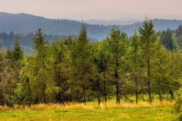 Panoramic view of Beskidy Mountains towards Babia Gora seen from Potrojna peak in Little Beskids in Lesser Poland  BEW1DF6AE1B