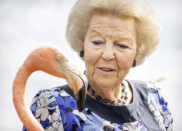 Bilder des Jahres 2021, Entertainment 11 November Entertainment Themen der Woche KW47 Entertainment Bilder des Tages SINT MICHIEL - On the second day of a three-day working visit to Curacao, Princess Beatrix, together with students from the St. Margaretha school, visits the salt pans, where a flamingo (Oscar) is being worked out. The working visit was mainly devoted to nature conservation and the effects of the corona pandemic. ANP ROYAL IMAGES KOEN VAN WEEL *** SINT MICHIEL On the second day of a three day working visit to Curacao, Princess Beatrix, together with students from the St Margaretha school, visits the salt pans, where a flamingo Oscar is being worked out The working visit was mainly devoted to nature conservation and the effects of the corona pandemic ANP ROYAL IMAGES KOEN VAN WEEL  Copyright: xANPx xxANPx x441201581x