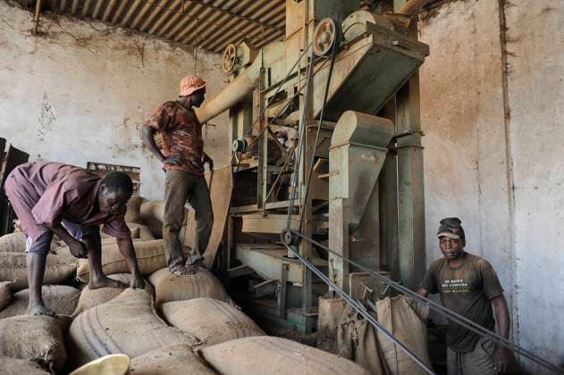 ANGOLA, coffee processing ANGOLA Calulo, coffee producer cooperative, raw coffee processing unit *** Verarbeitung von Rohkaffee nach Ernte in einer Anlage der Kaffeeproduzenten Kooperative von Calulo Calulo Kwanza Sul Angola
