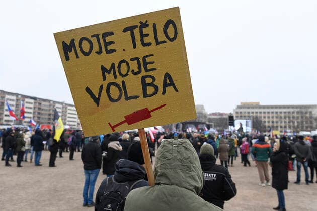 Demonstration against government lockdown rules in form of Freedom Festival, organised by Lets Open Czechia - DOG Croaked movement took place at Letna plain, Prague, Czech Republic, on Sunday, November 28, 2021. (CTKxPhoto OndrejxDeml) CTKPhotoP2021112804073 