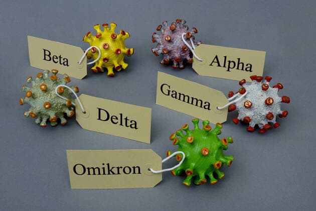 Corona models with designation Corona models with designation, 30 11 2021, Borkwalde, Brandenburg, Various Corona models bear the designations of the Greek alphabet