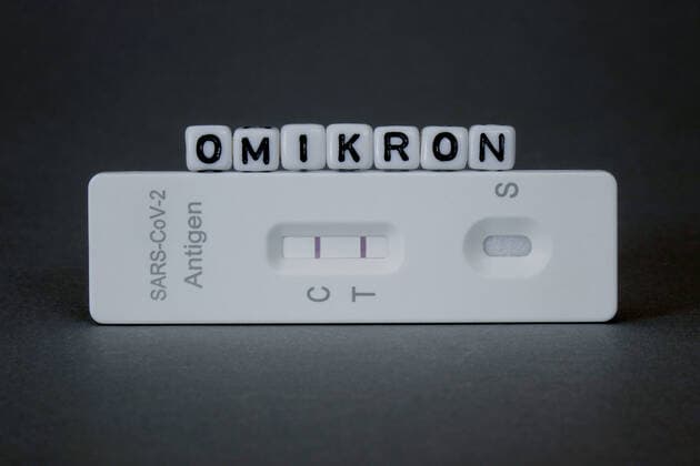Testkit and Omikron Testkit and Omikron, 30 11 2021, Borkwalde, Brandenburg, On a testkit are letter cubes with the writing Omikron