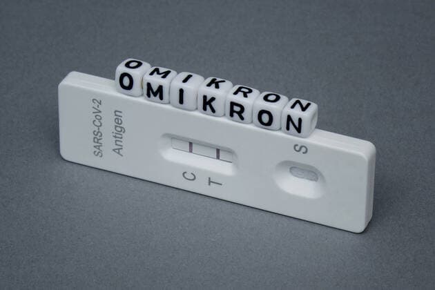 Testkit and Omikron Testkit and Omikron, 30 11 2021, Borkwalde, Brandenburg, On a testkit are letter cubes with the writing Omikron