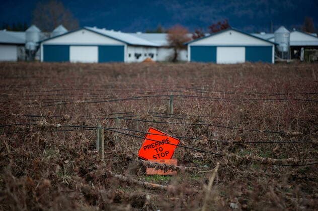 December 1, 2021, ABBOTSFORD, BC, CANADA: A traffic control sign that was carried by floodwaters onto a blueberry farm sits on the ground after the water receded, in Abbotsford, B.C., on Wednesday, December 1, 2021. ABBOTSFORD CANADA  - ZUMAc35_ 20211201_zaf_c35_102 Copyright: xDarrylxDyckx