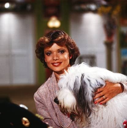 Uschi Glas Uschi Glas, deutsche Schauspielerin, mit Bobtail Bobby in der Fernsehserie Schwabinger Basar , Deutschland 1980. German actress Uschi Glas and Bobby the bobtail at the German TV series Schwabinger Basar , Germany 1980., Deutschland Copyright: kpa UnitedArchives55004623 EDITORIAL USE ONLY