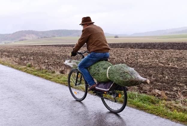 Hirrlingen (Kreis Tuebingen) 02.12.2021 Lastenrad mal anders, ein Mann ist mit Fahrrad und einem Tannenbaum zwischen Hirrlingen und Rottenburg - Hemmendorf unterwegs. *** Hirrlingen Kreis Tuebingen 02 12 2021 Freight bike in a different way, a man is on the way with a bicycle and a fir tree between Hirrlingen and Rottenburg Hemmendorf ulmer