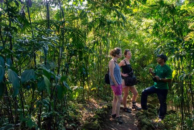Two girls exploring The Cloud Forest on Mombacho Volcano national reserve in Nicaragua Nicaragua Copyright: xSergixReboredox xVWPicsx SRE-080-CY1480