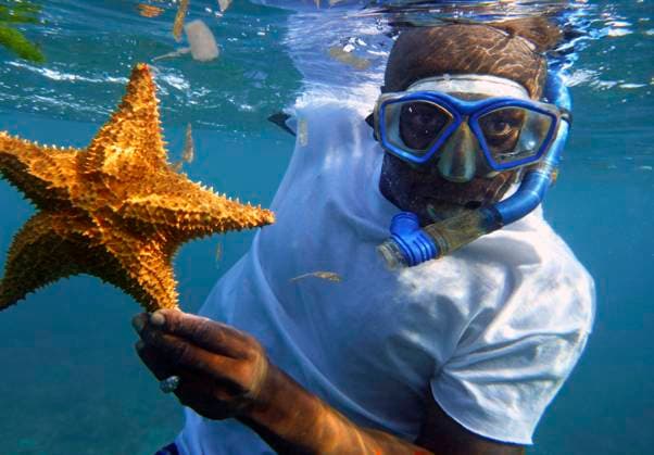 Snorkeling in the beach, Corn Island, Caribbean Sea, Nicaragua, Central America, America. Local man with a starfish. Nicaragua Copyright: xSergixReboredox xVWPicsx SRE-094-CY1993