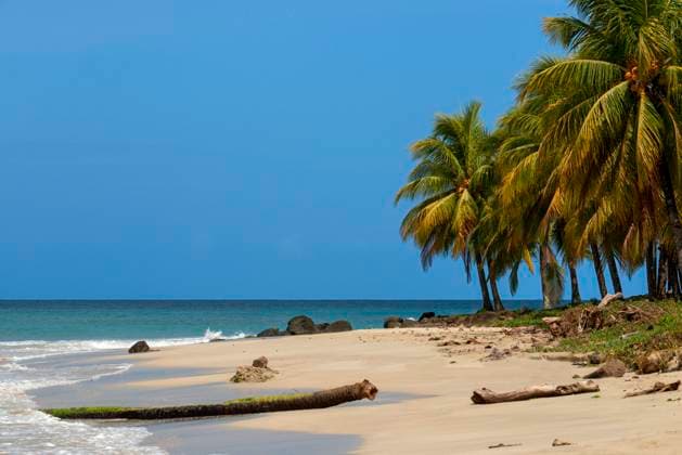 Boats and palms trees in the beach, Corn Island, Caribbean Sea, Nicaragua, Central America, America. Nicaragua Copyright: xSergixReboredox xVWPicsx SRE-042-CY0644