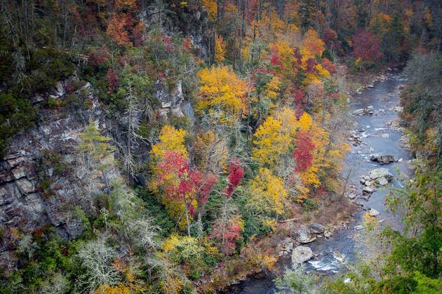 Creative Highlights World October 28, 2021: Brilliant late autumn colors highlight the Linville River as it flows through North Carolina s Southern Highlands near the Blue Ridge Parkway, Linville, North Carolina. Linville USA - ZUMAcls_ 1008454944st Copyright: xLarryxClousex