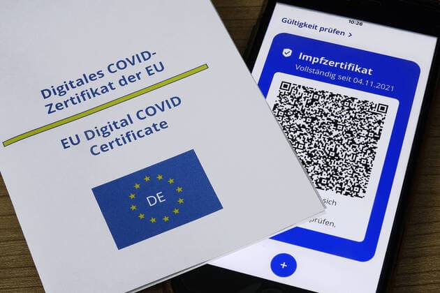 vaccination certificate and digital proof of vaccination vaccination certificate and digital proof of vaccination, 04 12 2021, Borkwalde, Brandenburg, On a mobile phone with a vaccination certificate is a certificate of the EU