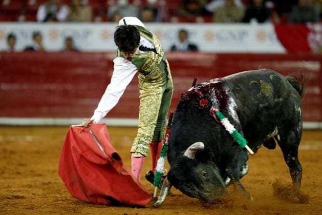 The Mexican bullfighter Jose Alberto Ortega fights his second bull, Recordandote weighing 457 kg, during the third bullfight of the big season La Reapertura at the Plaza de Toros Mexico, in Mexico City, Mexico, 05 December 2021. EFE Mario Guzman Third bullfight in the Plaza de Toros México !ACHTUNG: NUR REDAKTIONELLE NUTZUNG!  Copyright: xMarioxGuzmanx MEX9527 20211206-73e303677f39c406af3d93f3b33935e4e29675a8007