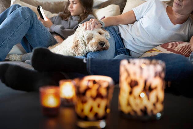 IMAGO Creative: Internationaler Frauenmonat, Gesundheit, Frauen in der Menopause IMAGO Creative: Jahreszeit Winter, Couching Dog lying on woman s leg in living room Sweden, Stockholm, model released, property released Copyright: xMaskotx , MA90568