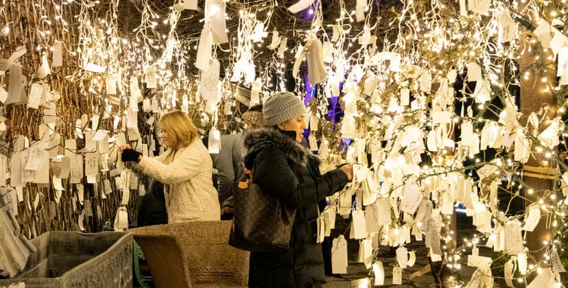 News Themen der Woche KW49 News Bilder des Tages December 12, 2021, Naumkeag, Stockbridge, Massachusetts, USA: People write their wishes and tight the paper to a tree at Winterlights at Naumkeag in Stockbridge, Massachusetts, Over 200000 lights are decorated at Naumkeag during annual seasons celebration Winterlights.  , aflo_176607845.jpg,