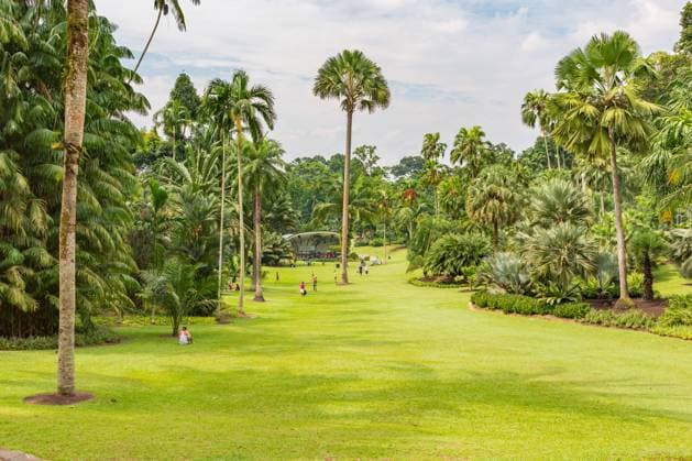 SINGAPORE, SINGAPORE - CIRCA SEPTEMBER, 2017: The Singapore Botanic Gardens, Singapore.