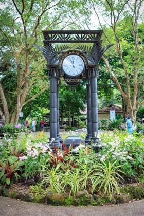SINGAPORE, SINGAPORE - CIRCA SEPTEMBER, 2017: The Singapore Botanic Gardens, Singapore.