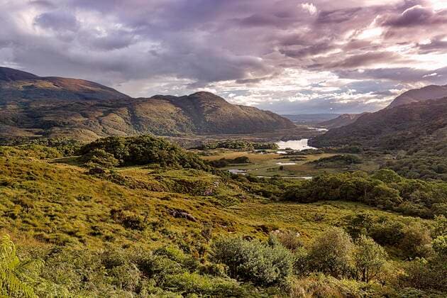 Aussichtspunkt Ladies View, Blick auf den Upper Lake im Morgenlicht, Killarney Nationalpark, Panoramastraße Ring of Kerry, Halbinsel Iveragh, Irland, Europa *** Viewpoint Ladies View, View of Upper Lake in the morning light, Killarney National Park, panoramic road Ring of Kerry, Iveragh Peninsula, Ireland, Europe Copyright: imageBROKER AngelaxtoxRoxel ibxato07188725.jpg
